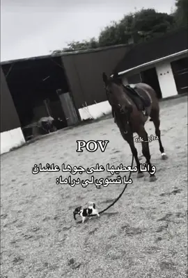 هههههههههههههههههههههههههههههههههههههههههههههههههههههههههه #foryou #fyp #ترندات_تيك_توك #مالي_خلق_احط_هاشتاقات #الشعب_الصيني_ماله_حل😂😂😂 