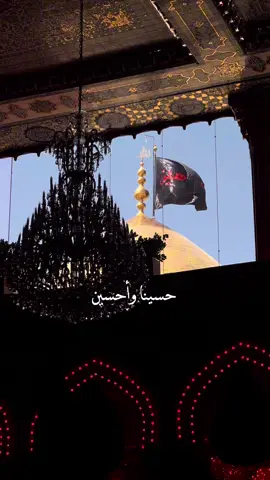 حسيناَوا حسين أَبكي يبن شبيب نحُ بقربي قتلواً جدي حسين دونُ ذنبُ.. #كربلاء_المقدسة  #ميرزا🍂  #الحسين_نهج  #TikTok 