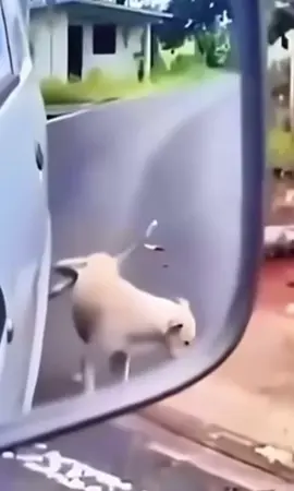 @Funny #tik_tok #respect #LIVEIncentiveProgram #LIVEStory #PaidPartnership 