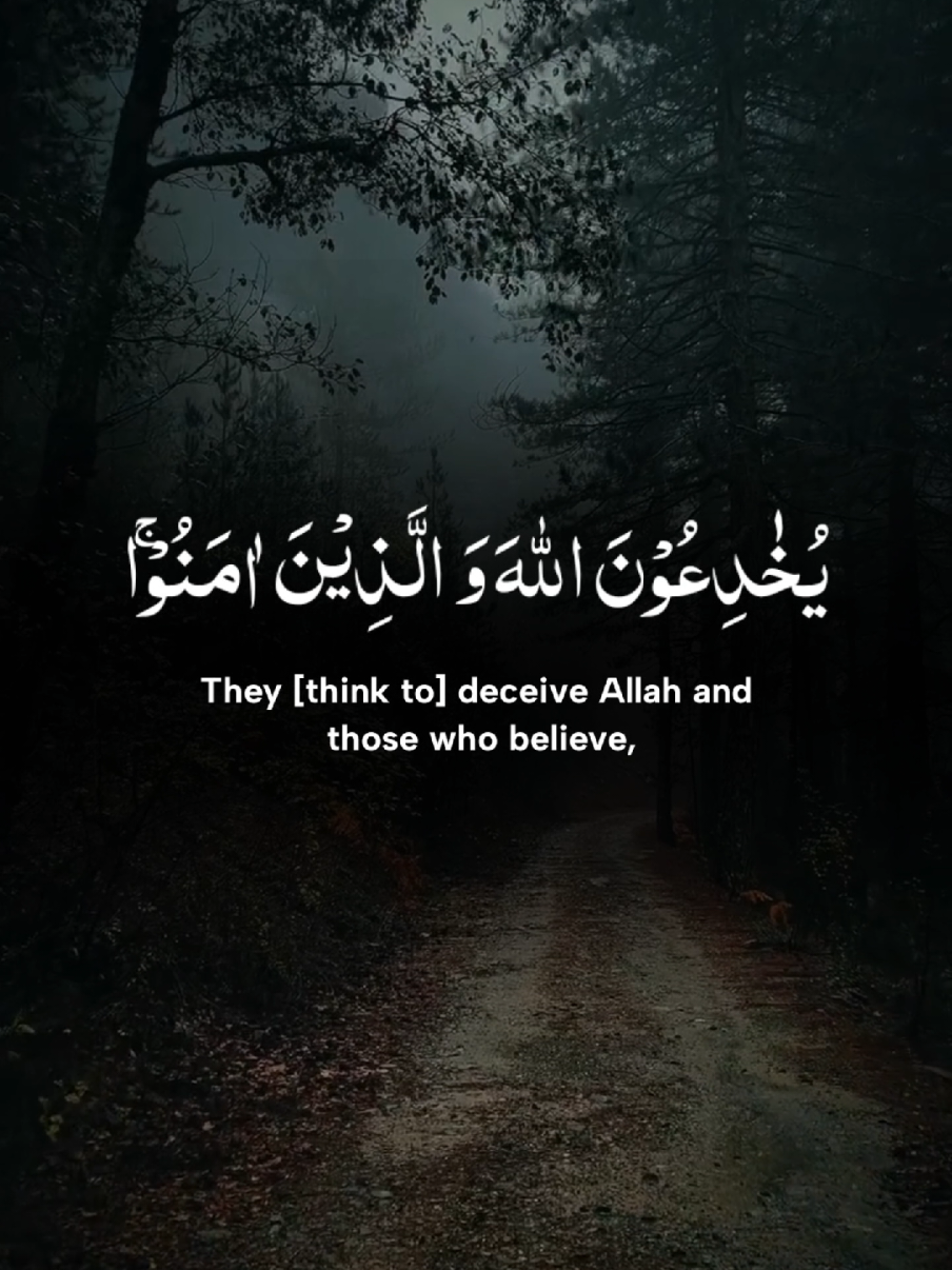 Surah Al Baqara Recitation By Abdullah Ahmad Shaaban #abdullah_ahmed #quran #tilawat #foryoupage #unfrezzmyaccount 