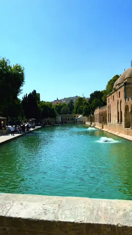 Urfa’m ❤️🌸 #keşfet #keşfetteyizz #zlmmx #balıklıgölşanlıurfa #şanlıurfa 