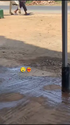 اللــه يـصـلـح🫶🏻❤️#مشاءالله#fyp #foryoupage #tiktokchallenge #duet