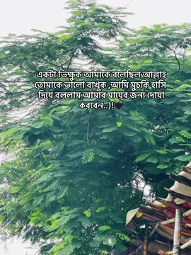 ...)!🖤#foryou #fypシ゚ #fyppppppppppppppppppppppp #viral?videotiktok😇😇 #trending 