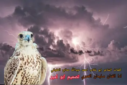 #قصيدة كامله تصميم #ابوامير #_فيديوهات اليمن_صنعاء_تعز_اب_ذمار_عدن_وطن_واحد #صنعاء_تعز_عدن_اب_ذمار_حجة_حضرموت#الفنان سليمان العمري 