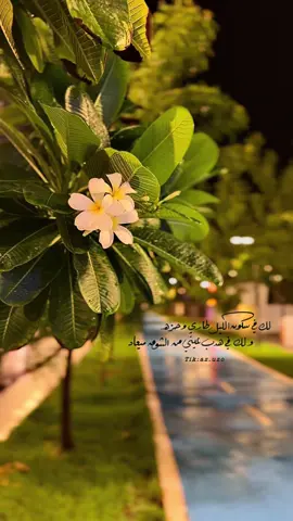 لك في سكون الليل طاري وحزه ولك في هدب عينى من الشوق ميعاد..🎼🤍#🤍 #تصويري #اكسبلور #ليل #CapCut 