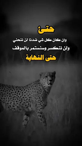 #تصميم_فيديوهات🎶🎤🎬 #اكسبلور #عبارات_جميلة_وقويه😪🥲 