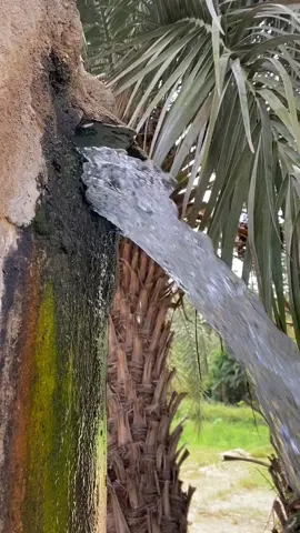 #تصويري_farah_al_hyaat #اليمن_الجوف_خب_والشعف🇾🇪🇾🇪 #هشتاقاتي_الترند_المشهور #هشتاج_الاكسبلور #الشعب_الصيني_ماله_حل😂😂 