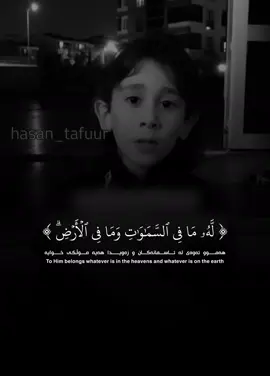 ﴿ٱللَّهُ لَآ إِلَٰهَ إِلَّا هُوَ ٱلۡحَيُّ ٱلۡقَيُّومُۚ﴾ آية الكرسي - معاذ الشامي #قران_كريم #معاذ_الشامي #rawakurdy #اكسبلور #viral 