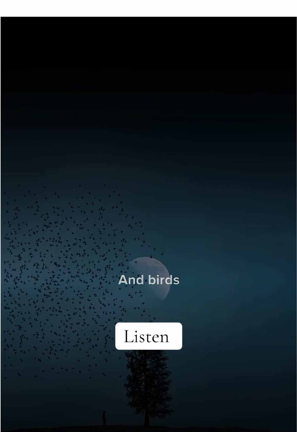 #fyp #islamic_videos #islamic 