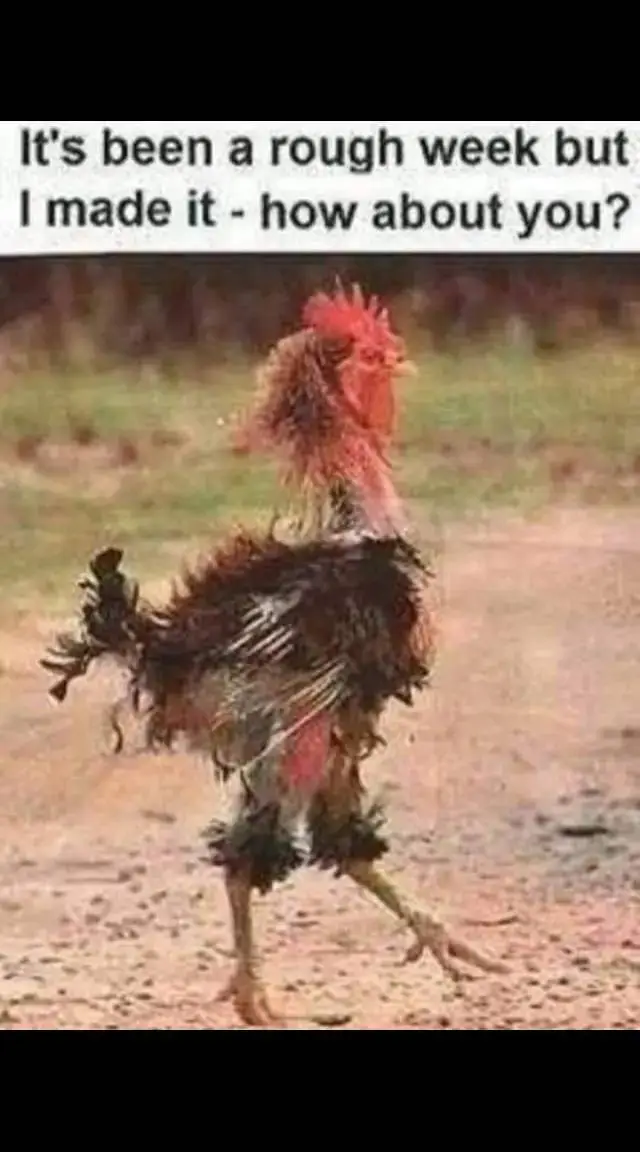 #caregiver #myautismsentimentdiary #caregiverlife #mentalhealthcheck 