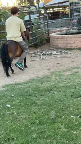 Hola TikTok 