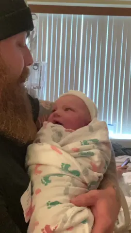 5 years ago the greatest birth announcement ever created was made.  Baby sanctuary is 5 years old today. 