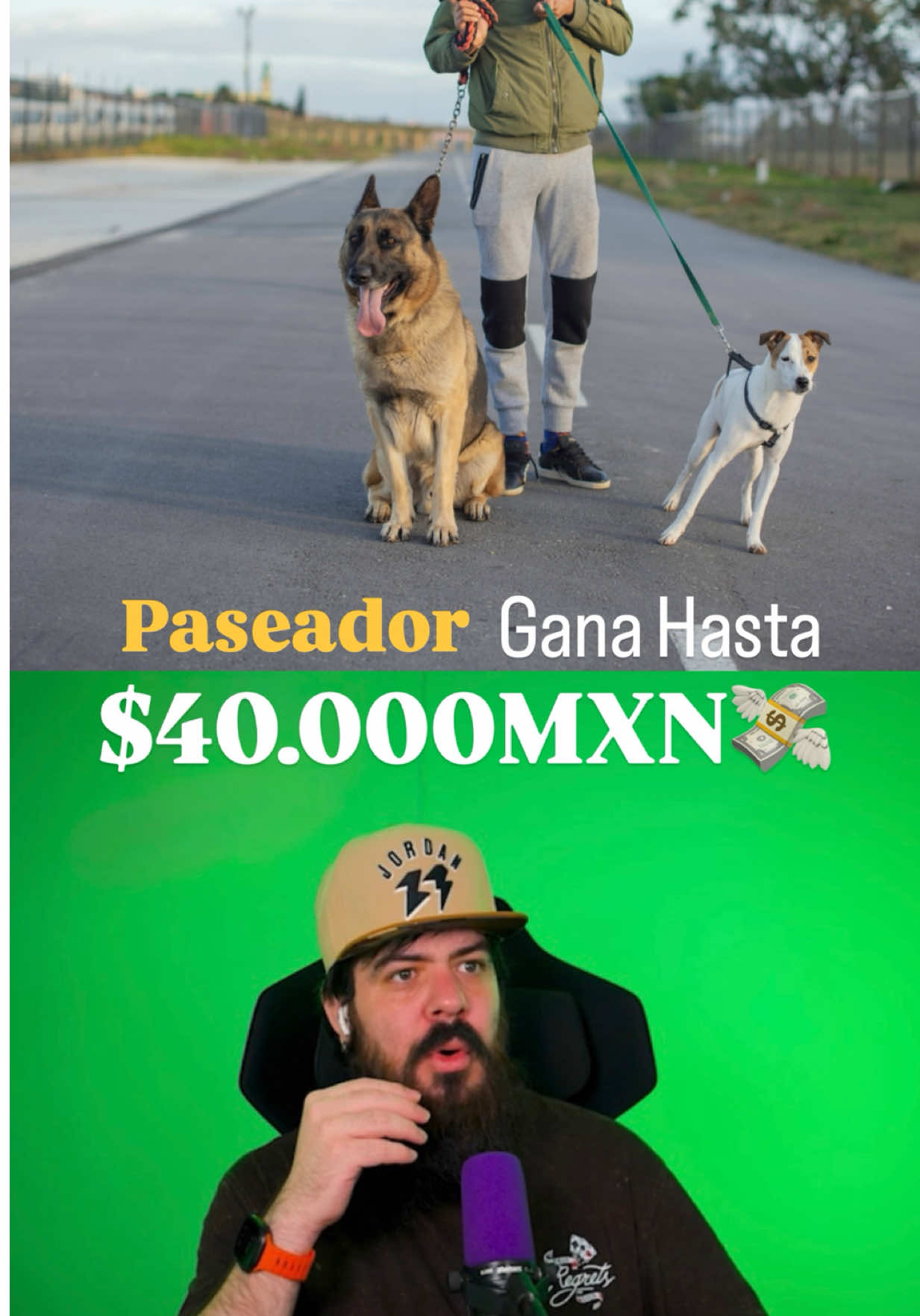 Gana Hasta $60.000 Paseando Perros 🐕😳 #paseadordeperros #perrosfelices #cdmx🇲🇽 #trabajos #mascotastiktok  