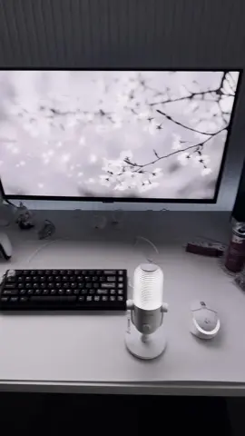 what my desk usually looks like during my work week.. I try to keep it clear but honestly it’s been much worse than this so I won’t beat myself up. 😵‍💫  | ig: @mille.2b ⊹˚˙♱˙˚⊹ ⊹˚˙♱˙˚⊹ ⊹˚˙♱˙˚⊹ ⊹˚˙♱˙˚⊹ ⊹˚˙♱˙˚⊹ #pcsetup #gamingpc #GamingSetup#gamingpc #fypage