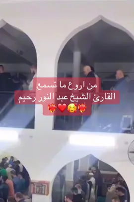 #عبد_النور_رحيم #قران_كريم #قران #ارح_سمعك_بالقران #استغفرالله #اللهم_صلي_على_نبينا_محمد #الجزائر #تونس #ليبيا #المغرب🇲🇦تونس🇹🇳الجزائر🇩🇿 #مصر_السعوديه_العراق_فلسطين #مصر_السعوديه_العراق_فلسطين #الشعب_الصيني_ماله_حل😂😂 #fyp #fouryou #foru #السعودية #algeria #libia🇱🇾 #ياسر_الدوسري #ماهرالمعيقلي #مكة #dz 