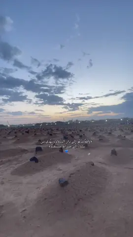 إنك ميت وإنهم ميتون❤️❤️❤️#عبدالرحمن_مسعد #quran #allah #اكتب_شي_توجر_عليه #قران_كريم 