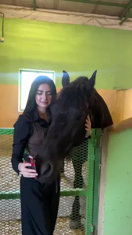 شهد خيل وخياله #شهدالشمري #خيل_وخياله🐎 #اكسبلور @sh7azi_ 