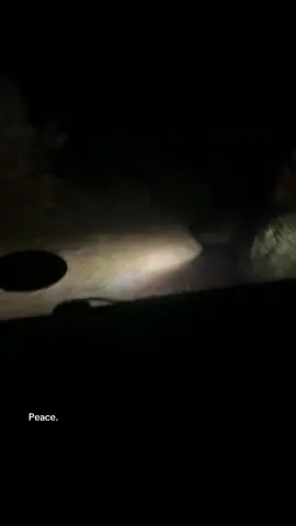 #fyp #driving #fast #uk #youletbrodrive 