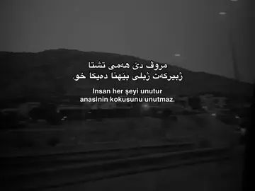 Anne🌚 #foryou #fyp #الشعب_الصيني_ماله_حل😂😂 #duhok_zaxo_amedi_semel_akre #foryoupage 