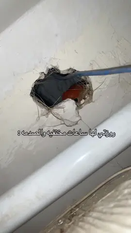 وتراقب بصمت اخ اناث الروز لذا فيه انتاج قريب لاتخلوهم بدون عش لانها بتسوي لها في اماكن عشوائيه ! #روز#طيور#ببغاء_متكلم #bird 