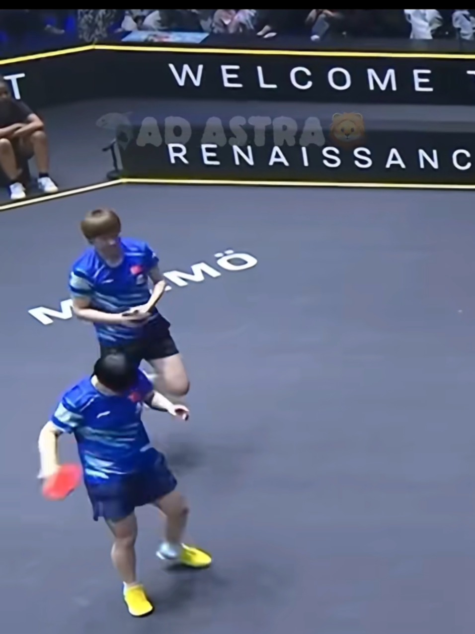 ตึงแค่ไหนเราก็ไม่ลืมมีมแน่นอนค่ะ😆😆😆🦁🦈🏓❤️#王楚钦 #孙颖莎 #wangchuqin #sunyingsha  #pingpong 