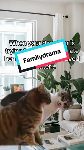 I’m trying to not look suspicious 😳 #creatorsearchinsights #familydrama #ImThePlotTwist #FamilyTok 