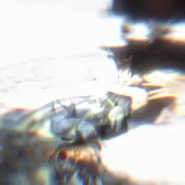 #fyp #edit #xyzbca #llawliet #llawlietedit 