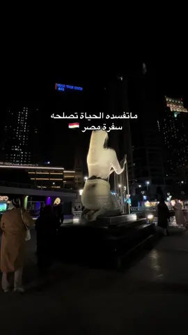 مصر ام الدنيا✈️🤍 #سفر_وسياحة #السهم_المميز_للسفر_والسياحة #مصر🇪🇬 #القاهرة #اكسبلور 
