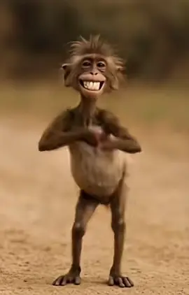 AI getting out of hand 😭🐒 #ai #fyp #foryou #funny #dancingmonkey 