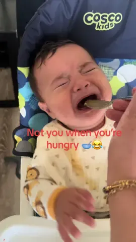 Caption: “Baby Arda cries until his lentil soup arrives 😅 Once he gets a spoon, peace returns… until it’s gone again 💛  #hungrybaby #ardajourney #babyboymodel #funnybaby #fyp 