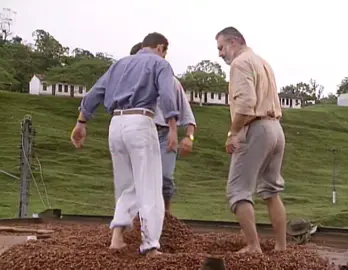 Novela Renascer 1993. Cap.70 cena épica em que  José Inocêncio (Antônio Fagundes) obriga José Bento (Tarcísio Filho) e José Augusto (Marco Ricca) a trabalharem na plantação de cacau. #fly #Novelas #globo #anos90 #romance 