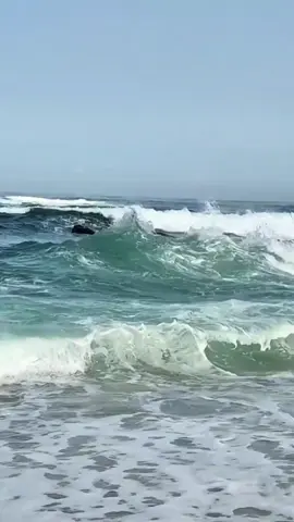 Şeirin muelifini tapmadiğim üçün qeyd etmədim bildiyim halda qeyd edəcəm Səs:Elvar #kəsfett #kesfetteyim #kəsfetdəngələnlərtakipet #kesfetteyiz #kesfetim 