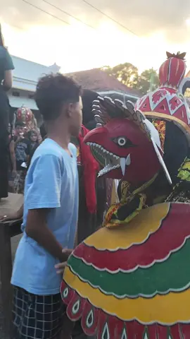 #foryou #keblakkeblak #fypage #jaranantiktok #banyuwangihits 