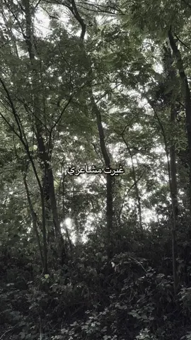 #تقدر_تتكلم#عمرو_دياب#Sing_Oldies#عمرودياب_قديم#amrdiab 