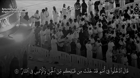 التلاوة هذي اسطوورريه وبنبرة الماهر غير والله #ماهرالمعيقلي #سوره_الاعراف #قران_كريم #ايات_قرانيه_تريح_القلب #مكه_المكرمه_المملكه_العربيه_السعوديه 