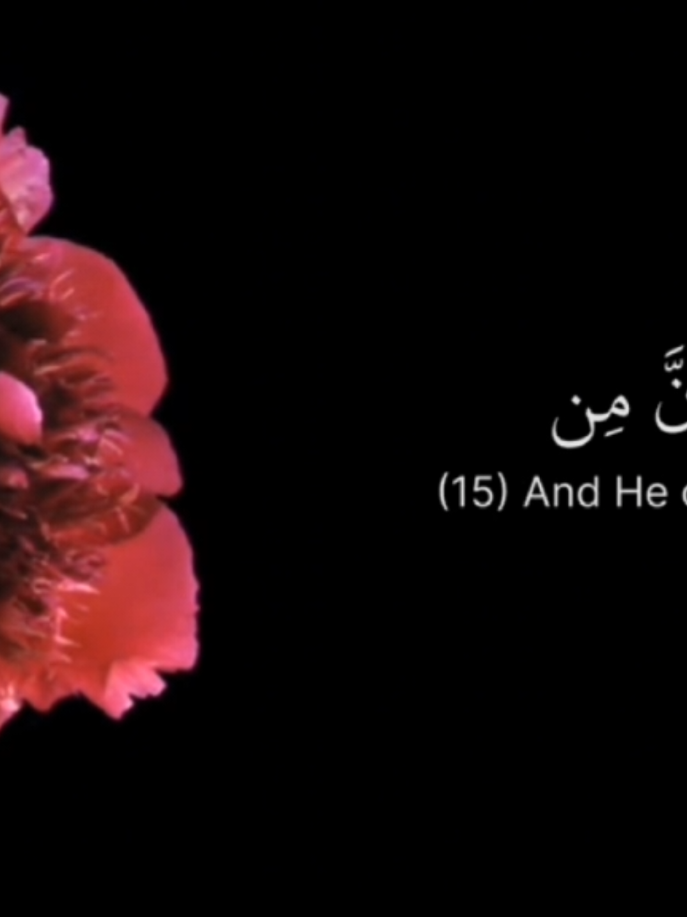 surah al Rahman |  #quran #recitation #peace #islamic_video #fyyyppp 