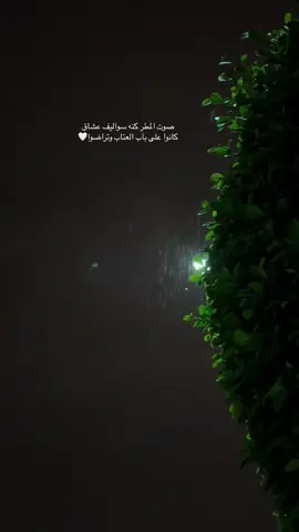 #في هذا اليوم 