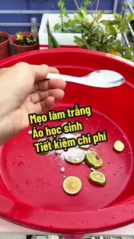 Bí quyết giặt áo học sinh đen ,dơ , xỉn màu được trắng , dễ làm tại nhà , tiết kiệm chi phí #KIMHIIEUMEOHAY #meohay #meovatcuocsong #mebimxaykenh #xuhuongtiktok 