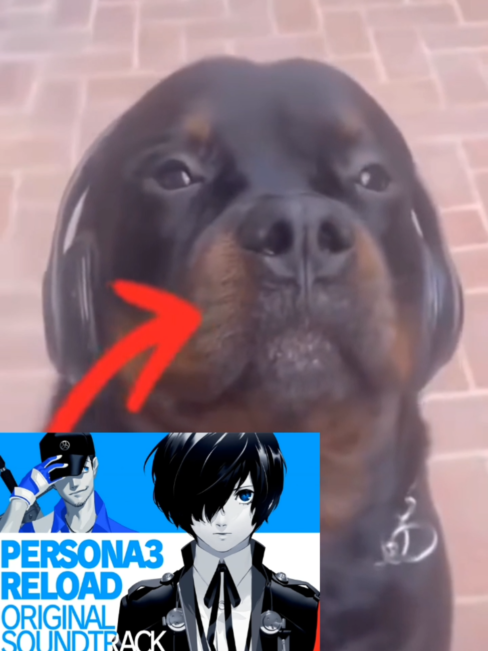 it's peak😭😭 #persona #persona3 #persona4 #persona5 #persona3reload 