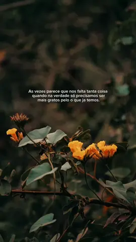 As vezes parece que nos falta tanta coisa, quando,na verdade, só precisamos ser mais gratos pelo o que ja temos. #nature #FrasesMotivacionais 
