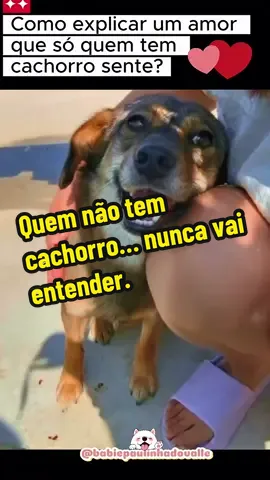 É um amor que não cabe em palavras. Só quem tem sabe. 🐾❤️ #maedepet #cachorro #amorverdadeiro #cachorrosdotiktok  