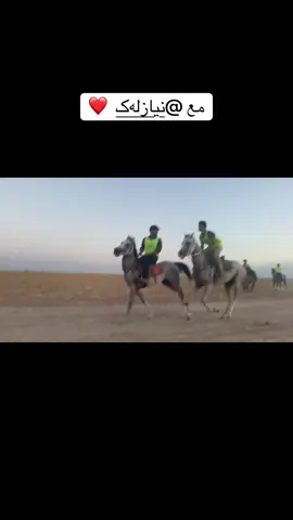 #foryuuuuuuuuuuuu #ماشاءالله_تبارك_الله #fooryupage #سباقات_الخيل 