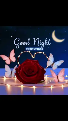 #LIVEIncentiveProgram #LIVEStory #PaidPartnership 