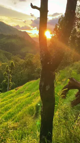 #dhadingmuser #natureloversgallery #bimaladharel #creatorsearchinsights #surilorukhasallaiho 