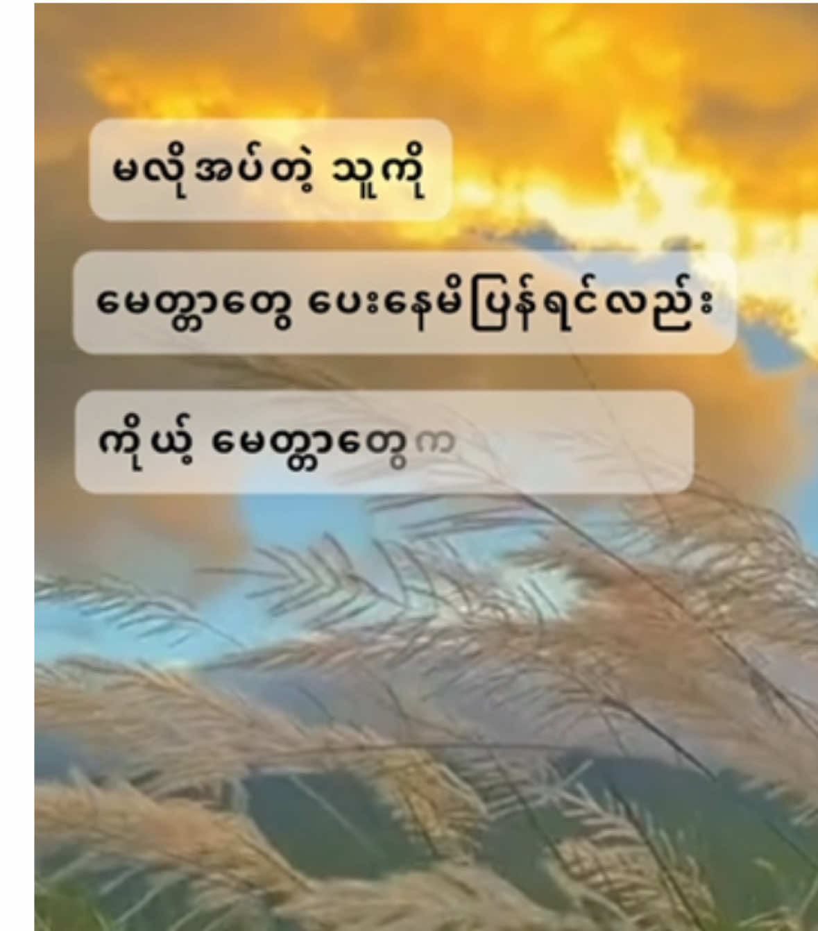 #myanmartiktok #foryou #🥺🥀 #fyp #feelings ကိုယ့်အပြစ်နဲ့ ကိုသာ ရှိပါစေတော့ 🥺🙏