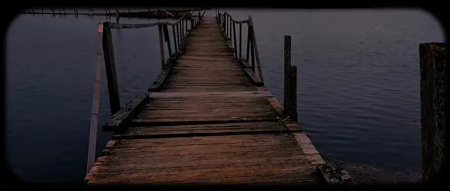 ﴿فَرِحينَ بِما آتاهُمُ اللَّهُ مِن فَضلِهِ وَيَستَبشِرونَ بِالَّذينَ لَم يَلحَقوا بِهِم مِن خَلفِهِم أَلّا خَوفٌ عَلَيهِم وَلا هُم يَحزَنونَ﴾ [سورة آل عمران : 170] #المنشاوي #قران #راحة_نفسية #quran #alminshawi 