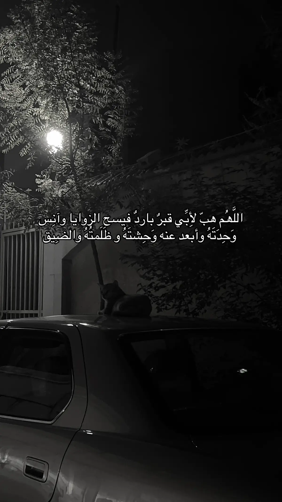 #رحمك_الله_يا_أبي_الغالي #فقيدي_أبي #صدقة_جارية #رحم_الله_ارواحا_لاتعوض #صدقه_جاريه_لجميع_اموات_المسلمين 
