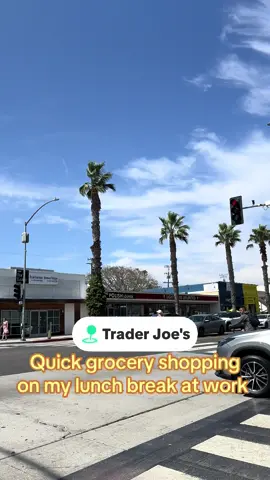 #melfams #fyp #groceryshopping #traderjoes #santamonica 