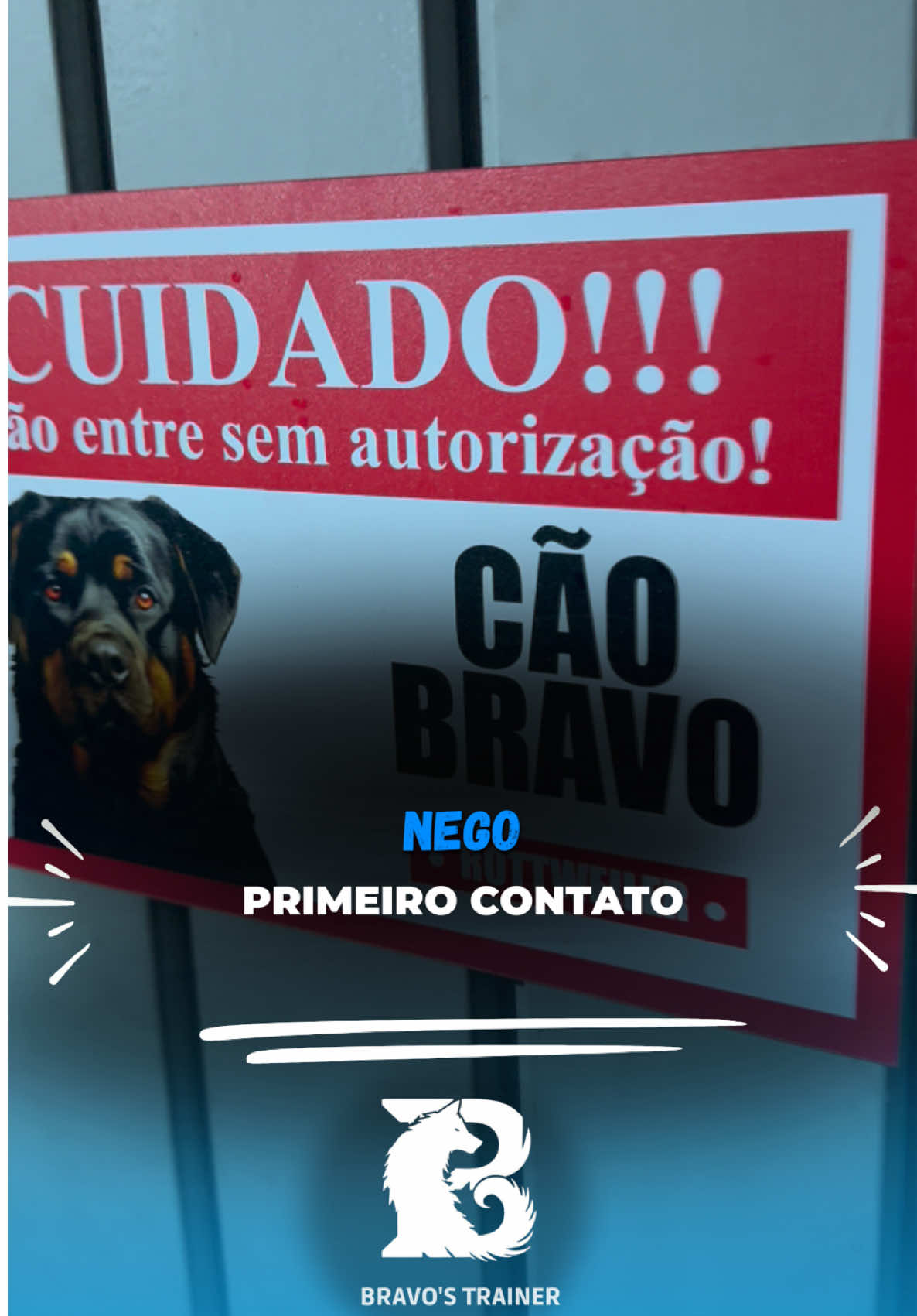 Nego! Rot de 60KG que mordeu o braço de uma pessoa e avança em cães!  #bravostrainerdog #adestramento #adestrador 
