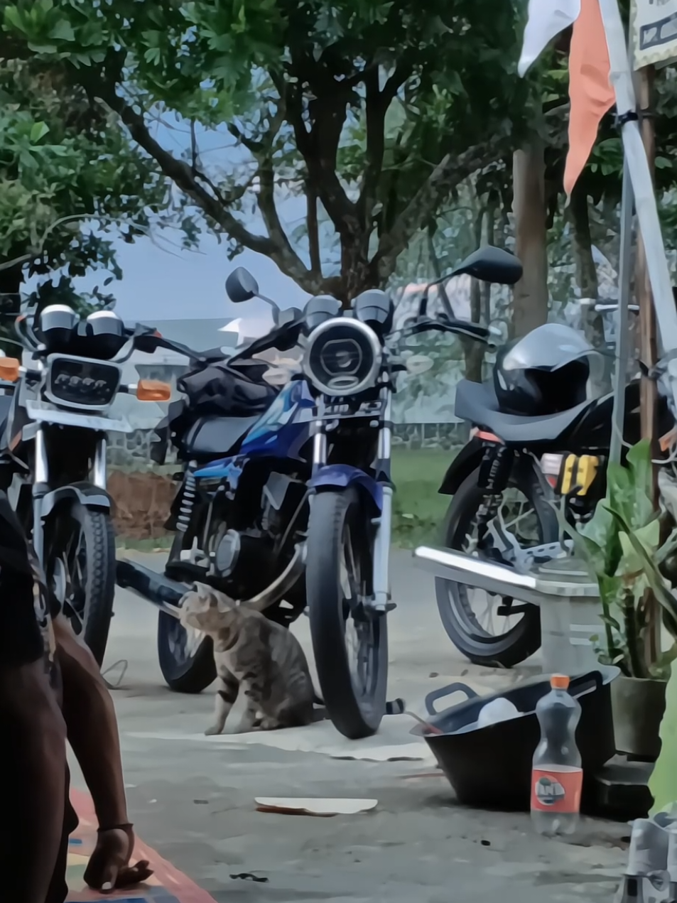 vibes pagi dikota orang sudah terasa😇 #rxking #rxkingindonesia👑🇮🇩 #storyrxking #jamnas #jamda #fypシ゚ 
